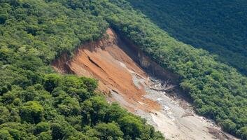 A plane flying over a forested area with a large cliff photo