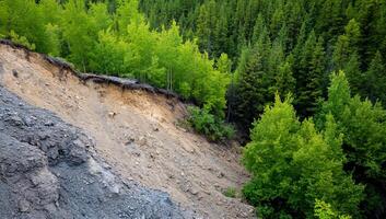 A landslide in the mountains with trees on the side photo