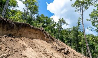 Erosion of soil in a lush forest area under a bright blue sky. photo