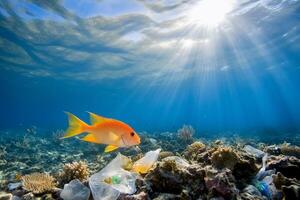 Underwater scene with a fish and plastic pollution in the ocean. photo