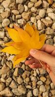 Woman holding yellow maple leaf over rocks. Vertical mobile photo