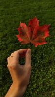 Woman holding red maple leaf during autumn in Stromovka Park. Vertical mobile photo