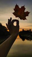 Woman holding red maple leaf during autumn in Stromovka Park. Vertical mobile photo