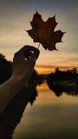 Woman holding red maple leaf during autumn in Stromovka Park. Vertical mobile photo