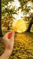 Hand holding yellow leaf in autumn Stromovka Park during golden hour. Vertical mobile photo