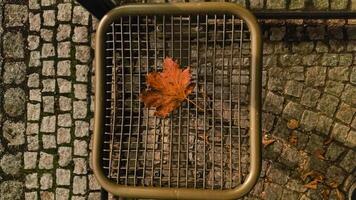 Lonely orange maple leaf fallen on empty public bench in autumn. mobile photo