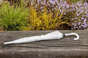White umbrella resting on a bench in a garden Karlin, Prague photo