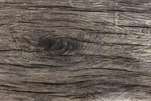Old knotted wood grain showing texture and pattern Karlin, Prague photo