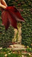 Woman holding red maple leaf during autumn in Stromovka Park. Vertical mobile photo