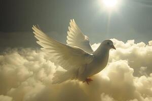 Peaceful Dove in Radiant Clouds with Sunlight for Inspirational Designs photo