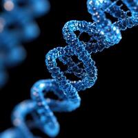 The visual shows a detailed blue DNA double helix against a dark background, highlighting its intricate structure photo