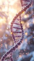 The DNA double helix stands prominently against a backdrop of soft, glowing light particles photo