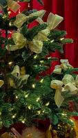 Christmas tree decorated with gold bows and garland on a red background photo