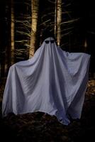 A child in a ghost costume among the trees in the forest photo
