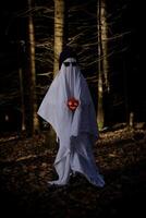 A child in a ghost costume among the trees in the forest photo