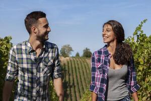 couple of young winemakers picking bunches of grapes in the vineyard in autumn photo
