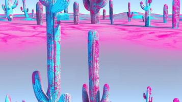 A cactus in a desert with a pink sky photo