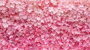 A pink wall covered with pink flowers photo