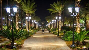A pathway lined with palm trees and lights photo