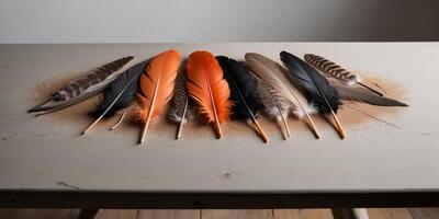 A table with several feathers on it photo