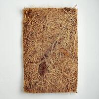 One piece of brown house cleaning scrubber tool from coconut heap material isolated on square white background from top angle view. photo