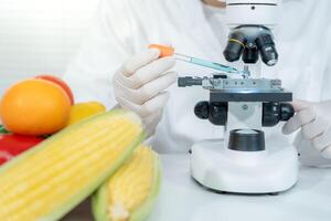 Scientist check chemical food residues in laboratory. Control experts inspect quality of vegetables vegetables. lab, hazards, find prohibited substances, contaminate, Microscope, Microbiologist photo