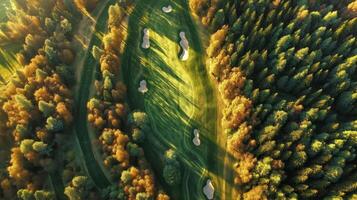 Aerial view of a golf course in autumn photo
