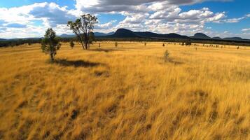 A grassy field with trees and mountains in the background photo