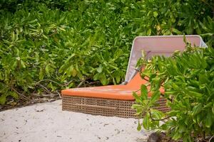 beach bed on white sand among palm trees photo