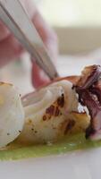 Chef Is Plating A Second Course Of Octopus Fish On A Cream Of Zucchini Base video