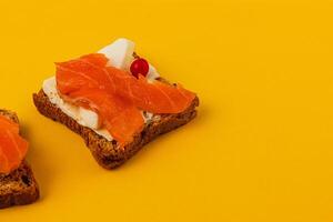 Toasts with butter, salmon and cranberries on a yellow background close up photo