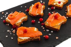 Toasts with butter salmon and cranberries on a stone board on a white background photo