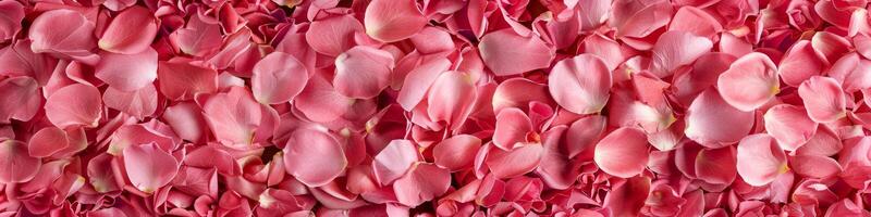 Vibrant pink rose petals overlapping, creating a soft and romantic floral background. Concept of love, passion, nature's beauty, Valentine's Day celebration. Wide banner. Greeting card. Copy space photo