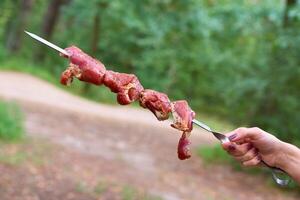 Raw fresh meat with spices on skewer for barbecue, grill photo