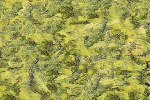Abstract yellow green rough structured background for decor, text advertising photo