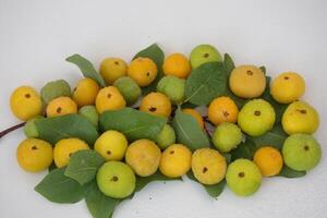 Ripe edible wild fruit from the Brazilian cerrado biome, fruit known as cagaita Stenocalyx dysentericus of the Magnoliopsida class and the Myrtaceae family. photo