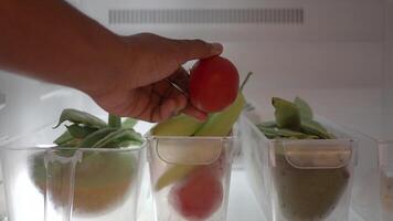 plastic containers with different fruits in a open fridge. video