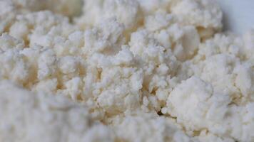 Close-Up Image of Fresh Ricotta Cheese Curds Texture on Plate video