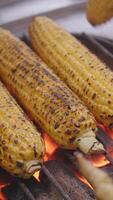 Grilling a delicious ear of corn on the cob during a sunny and warm summer day outdoors video