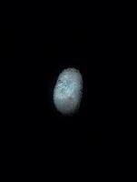 Fingerprint identity. Thumbprint for crime scenes or id authentification photo