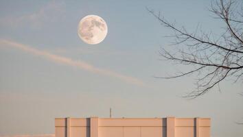 Full Moon Over a Building with a Tree Branch Framing the View. photo