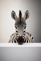 Curious Zebra Peeking Over a White Surface. photo