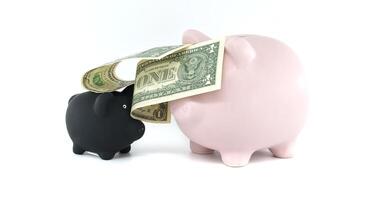 Two Piggy Banks with Dollar Bill Symbolizing Financial Growth and Savings photo