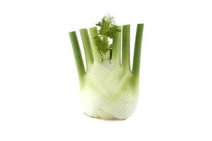 Close-Up Image Of Fresh Fennel Bulb Isolated On White Background photo