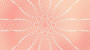 Peachy pink background features white symmetrical geometric lines forming floral patterns. video