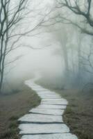 A path in the fog with trees and trees photo