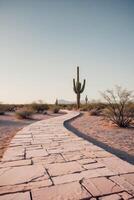 A stone path in the desert with a cactus in the background photo