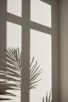 A shadow of a palm tree casts a shadow on a wall photo