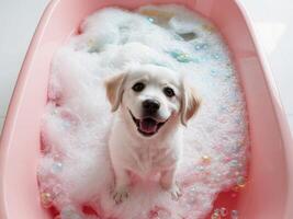 A happy puppy enjoys a bubble bath in a pink bathtub filled with bubbles and joy. photo