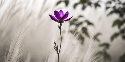 A sharp image of a purple blossom on a stalk with a fuzzy background featuring tall grasses and leafy trees. photo